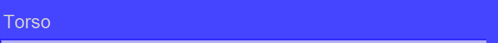 Torso